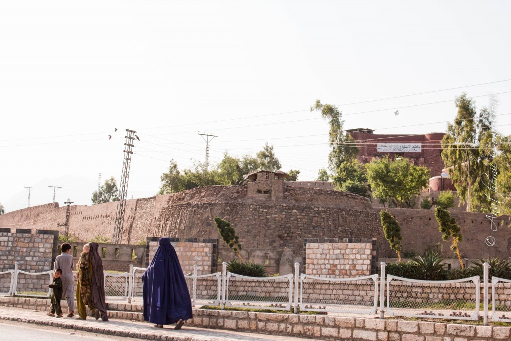 Bala-Hisar Fort