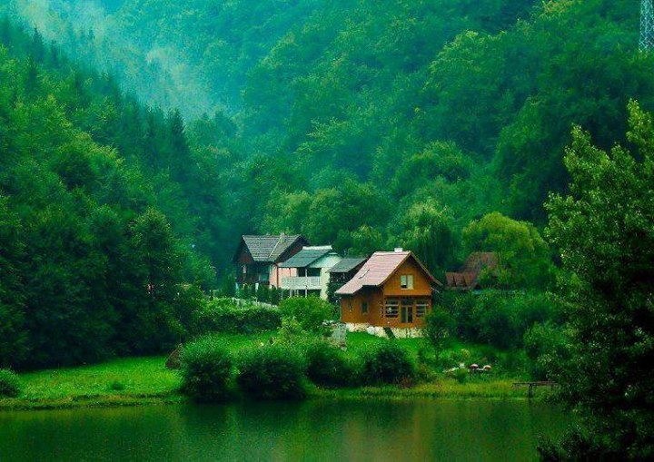 Cottages (12)
