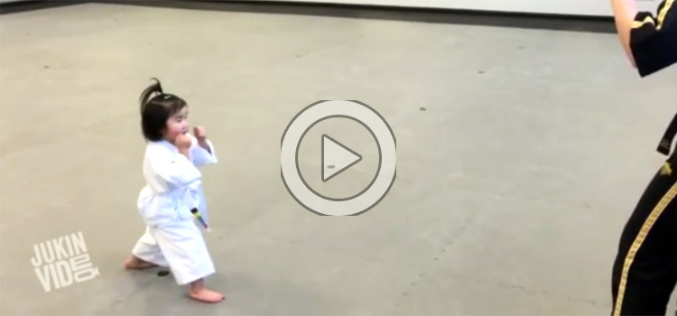 Three Year Old Taekwondo Star (Video)