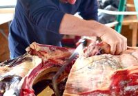 Complete Method of Qurbani On Eid-ul-Azha