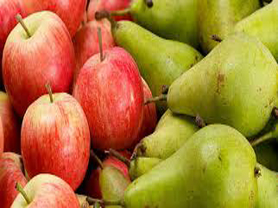 8 foods reduce belly fats