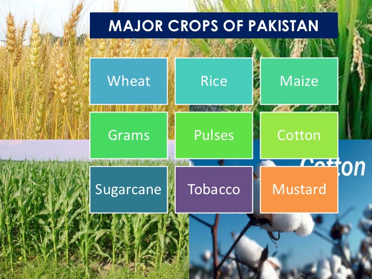 Some Interesting Facts about Pakistan